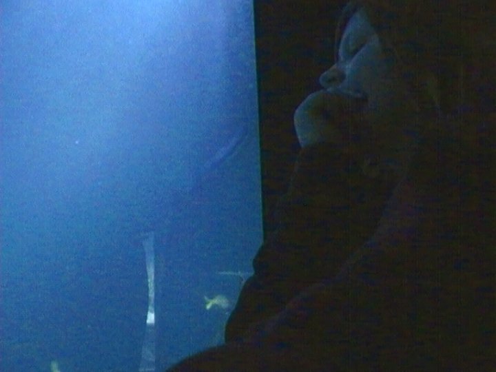 London Aquarium (me caught staring at sharks)