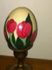 Tulip Egg2
