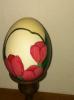 Tulip Egg Front view