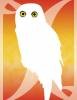 Happy Birthday Northern Owl