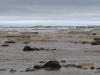 Georgian Bay after Sandy 3